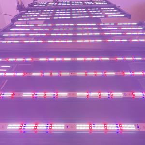 800W Dual Dimmable-<span class=keywords><strong>Booster</strong></span> intégré et 2 canaux 0-100% Dual Spectrum pour la culture des plantes Couvertures UV & FR de la graine à la récolte - Product Image 5