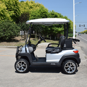 Carrito de Golf Bibo para 2 Pasajeros, Buggy de Golf de Alta Calidad, Motor Personalizado, Batería de Ácido, Controlador, Color Plomo, Tipo 2 Plazas - Product Image 4