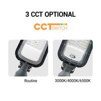 Lampe de rue LED extérieure OUTLUX G011 30W, design moderne, alliage d'aluminium, IP65, 6500K CCT, angle de faisceau 130x75