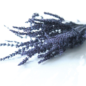 Planta de arreglo de flores naturales, flores secas conservadas, lavanda - Product Image 4