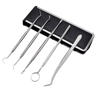 SAFEBOND 2025 Kit d'outils dentaires en silicone multi-usages pour l'hygiène buccale, 5 ensembles de sondes et crochets dentaires pour le soin et le nettoyage des dents, avec sac en cuir