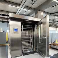 Four rotatif électrique et à gaz industriel pour boulangerie, 32/64 plateaux, pour la cuisson du pain et des pizzas