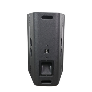 Haut-parleur en néodyme haut-parleurs 12 pouces pilote de haut-parleur professionnel extérieur gamme complète - Product Image 4