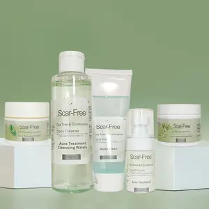 Kit de traitement de l'acné d'arbre à thé naturel de marque privée nettoyant pour le visage vieillissement et élimination Anti-acné crème d'élimination des cicatrices d'acné