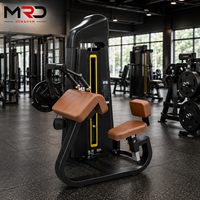 Machine d'extension des triceps assis à charge par broches pour l'entraînement de la force des bras supérieurs, équipement de fitness pour salle de sport