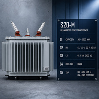 Transformateur de distribution triphasé immergé dans l'huile 1250 kVA 380 V/660 V, sur mesure, directement de l'usine