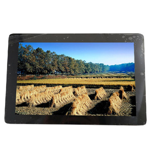 Écran LCD MIPI Premium 34 broches B101EAN01.7 en stock, 10,1 pouces, 1280*800 TFT - Product Image 1