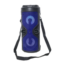 Ensemble de karaoké portable d'extérieur à double haut-parleur avec sangle, télécommande, microphone unique, radio FM et éclairage LED RGB pour Bluetooth 5.0