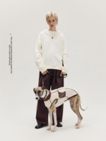 Luxuriöses, bequemes Partner-Outfit für Hundebesitzer: Whippet-Pullover mit magnetischem Netzdetail, hohem Kragen und 100 % elastischer Faser