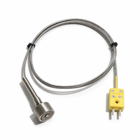 Sonde de température magnétique industrielle PT100, thermocouple de type K, câble OEM/ODM en acier inoxydable IP65