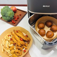 Papier de cuisson jetable en silicone double couche antiadhésif résistant à la chaleur pour friteuse à air et four domestique