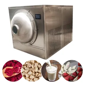 Et meyve sebze küçük liyofililizer gıda donmalı kurutucu Mini vakumlu dondurucu kurutucu makinesi
