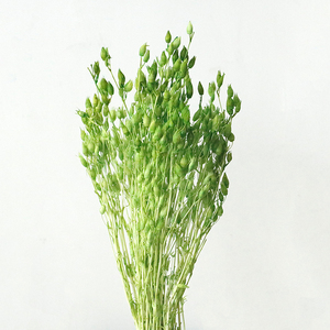 Paquete de Materiales para Manualidades con Flores Eternas, <span class=keywords><strong>Atrapamoscas</strong></span>, Hierba, Vela Flotante en <span class=keywords><strong>Botella</strong></span>, Aromaterapia, Material Floral - Product Image 1