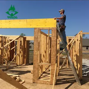 Poutres en bois lvl jaunes pour la construction de poutre h20 de Chine