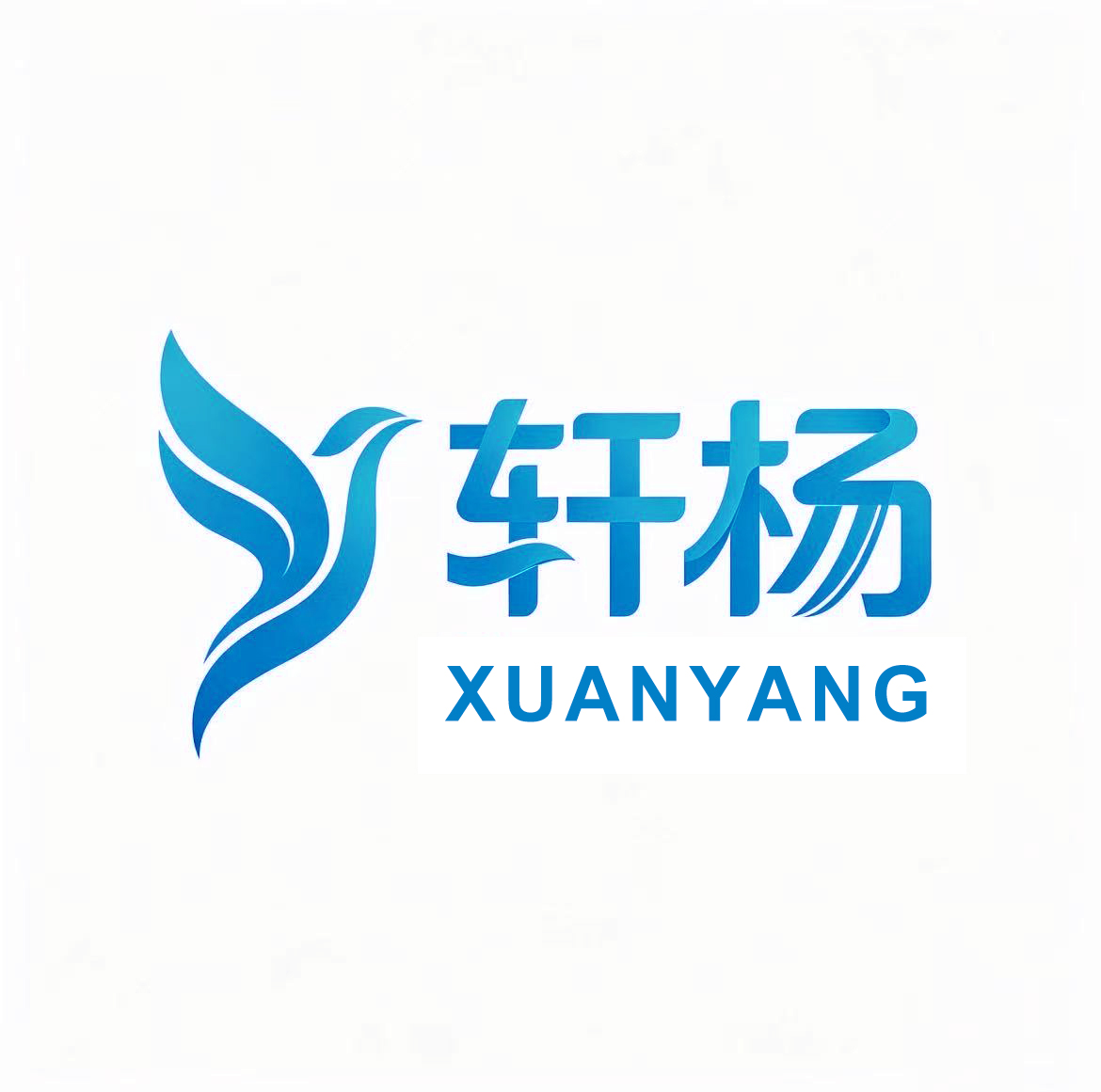 Hebei Xuanyang Environmental Protection Equipment Co., Ltd. logo