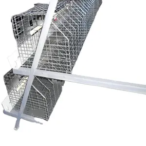 Hot Sale Battery Cages For Layers and 120 Layers Chicken Cages Poultry Cage Sale In Nigeria