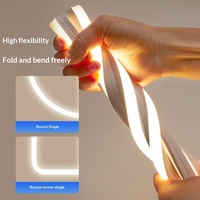 Tube en silicone personnalisé 12V 24V 220V pour bande LED IP68, extrusion unique, flexible, pliable, néon LED extérieur 10*10 20*10