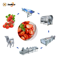 Professionele aardbeien-tomaat-groentesalade verwerkingslijn, industriële kwaliteit, hoog rendement saladeproductiesysteem