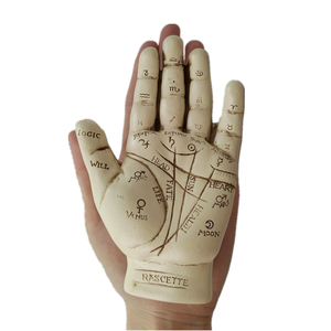 Scultura in resina Fortune Telling Palm Reading con libretto Palmistry Hand Model - Product Image 2