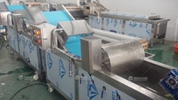 Automatische groente- en fruit snij-, was- en drooglijn, productielijn voor het verwerken van saladegroenten