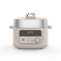 Cuisinière à pression électrique intelligente 2,5 L multifonctionnelle avec affichage LED et minuterie programmable 24h OEM/ODM