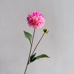 Y-H101 Vente en gros de fleurs de <span class=keywords><strong>dahlia</strong></span> au toucher réel, <span class=keywords><strong>dahlia</strong></span> à 2 têtes, décoration de mariage, décoration de la maison, <span class=keywords><strong>fleur</strong></span> en soie, <span class=keywords><strong>fleur</strong></span> artificielle - Product Image 6