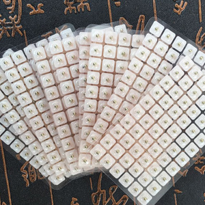 Parches de acupuntura para la oreja, parches de masaje, parches de acupuntura para la oreja con cuentas magnéticas direccionales, 600 parches, parches magnéticos para la oreja. - Product Image 1