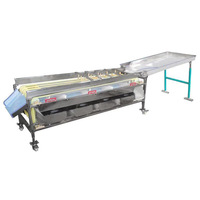 Professionele Automatische Goede Kwaliteit Fruit Grader Tomaat Peer Kiwi Citroen Vruchtmaat Sorteerder Fruit Sorteermachine