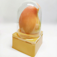 Glace en gros aux saveurs exotiques mangue, citron, pêche et pépites de chocolat, en boîte, prête à consommer, en vrac, HALAL