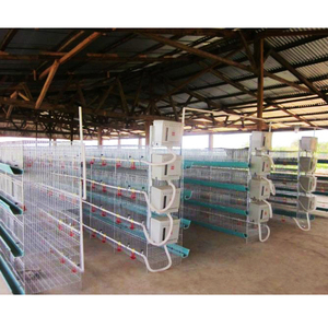 Nimal oulouly 4 Tier roroiler uutomatic atterapanone aputomatico ollaio er 2000 Galline - Product Image 3