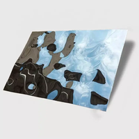 Plaque décorative en acier inoxydable miroir noir PVD 201 pour mur de cabine DJ 1500 x 3000 mm 0,8 mm