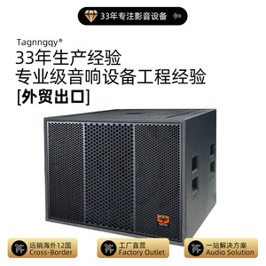 Subwoofer Tianlang Audio de 18 Pulgadas, 800W, Salida Mono, para Cine, KTV, Sala de Conferencias - Product Image 2