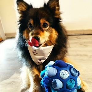 Palle Interattive Eco-Friendly per Cani: Giocattoli Olfattivi per Nascondere Snack, Palle Puzzle in Gomma per Stimolazione Mentale - Product Image 6
