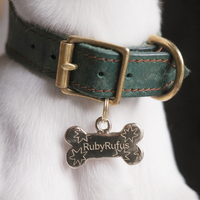 Personalisiertes Hunde-ID-Etikett mit QR-Code, Poliertes Edelstahl-Haustier-Namensschild, Beidseitige Gravur nach Wunsch