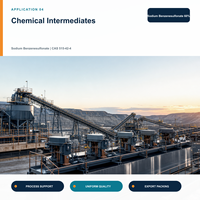Benzenesulfonate de sodium 60% en poudre, sac de 10 kg, détergent, tensioactif, intermédiaire pour colorants