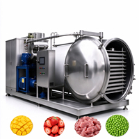 Machine de lyophilisation sous vide commerciale, lyophilisateur alimentaire industriel, équipement de séchage par congélation des fruits et légumes
