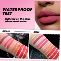 Ensemble de maquillage tendance personnalisé avec logo, 6 couleurs, rouge à lèvres liquide hydratant, imperméable, mat, kit de rouge à lèvres