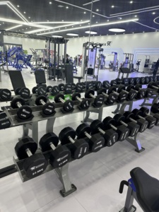 2025 nuevo estilo martillo gimnasio Fitness levantamiento de pesas entrenamiento de fuerza Q235 tubo de acero galvanizado estante con mancuernas de dos niveles a la venta - Product Image 2