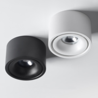 Plafonnier LED ultra-plat 10W AC100~240V à montage en surface, sans perçage, pour salons et projets de plafond