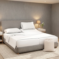 Parure de lit 5 pièces moderne en coton égyptien 100% (1000 fils) respirante et rafraîchissante, taille Split King, lavable en machine, douce et profonde