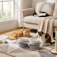 Premium keramische kattenbak verhoogd wit dubbele wijde opening antislip nekbescherming voerbak set keramische kattenbakken aanbieding