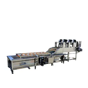 Blueberry Cleaning Waxing Garlic Bean Sprout Washer and Drying Machine Sorting Tomato Vegetable Fruit Washing Line