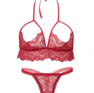 Venda quente novo conjunto de lingerie sexy para mulheres sutiã de renda floral lingerie sexy calcinha roupas femininas