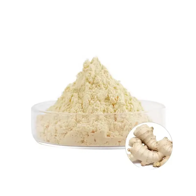 Best Price Ginger Root Extract Gingerol Extract 5% Gingerols