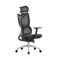 Chaise de bureau exécutive en maille respirante, design ergonomique, soutien lombaire fixe, style moderne, base chromée, garantie 3 ans pour le bureau à domicile