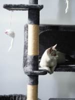 Produit phare d'usine : Arbre à chat d'intérieur de haute qualité, Colonne à gratter luxueuse en bois, Tour cabane pour chat