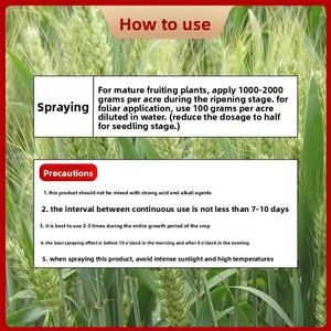 특수 퇴비 밀 통통한 씨앗 제어 과성장 고수익 발아 저항 숙박 감소 경사진 풀 그레인 - Product Image 4