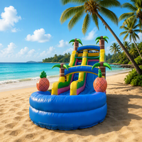 Glissière d'eau gonflable pour jardin, palmier en plein air Commercial, maison en forme d'ananas avec piscine