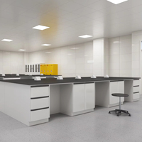 Ensemble de mobilier de laboratoire universitaire : bancs de laboratoire, armoires et hotte à fumée tout en acier pour les projets d'infrastructure scientifique des universités