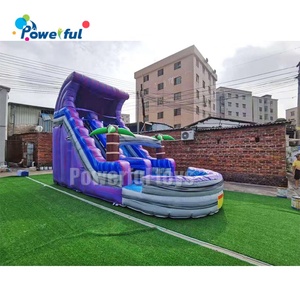 Tobogán Acuático Inflable Comercial con Forma de Palmera, Tobogán Inflable con Piscina - Product Image 5